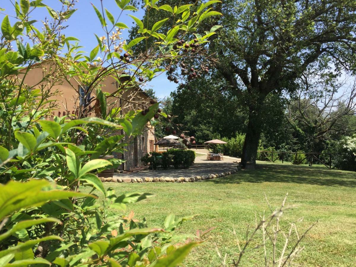 Agriturismo Pieve De Pitti Terricciola Buitenkant foto