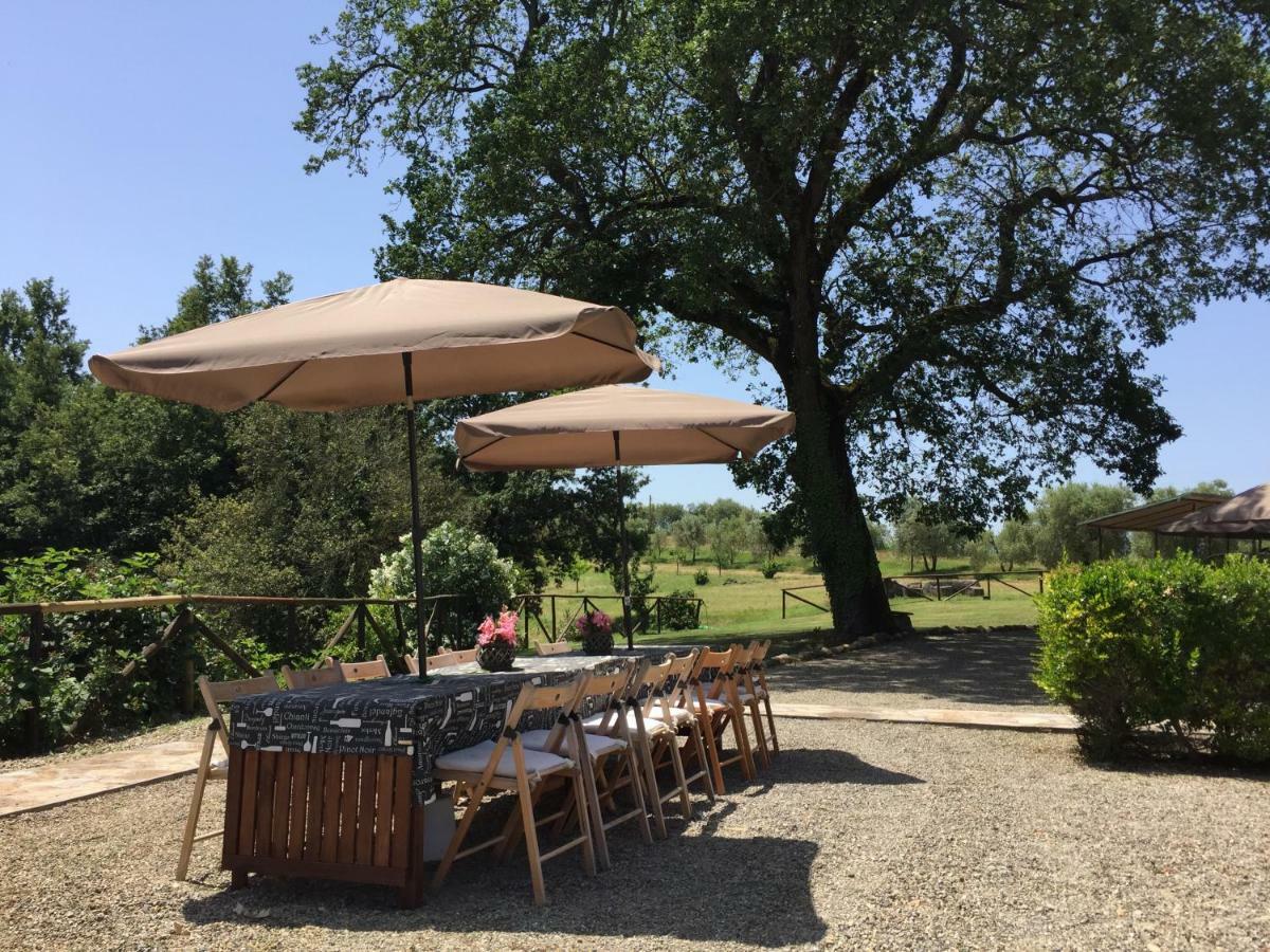 Agriturismo Pieve De Pitti Terricciola Buitenkant foto